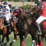 Polo, Commercial Wedding Photographers: Photoscience.co.uk